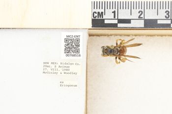 Media type: image;   Entomology 768516 Aspect: Labels
